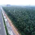 �ȷ�ɭ�ַ��